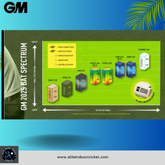 GM Brava 606 Cricket Bat